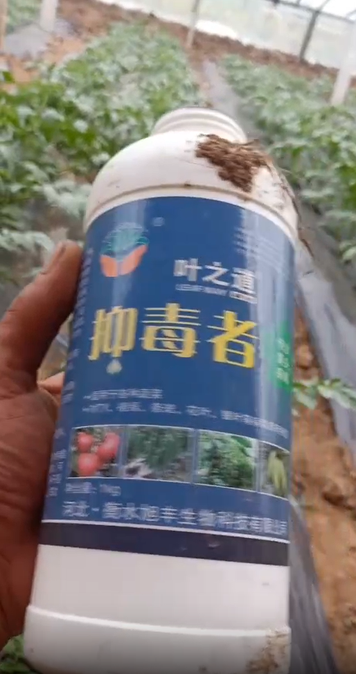 叶之道抑毒者