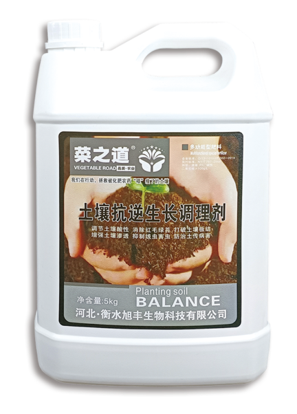 菜之道