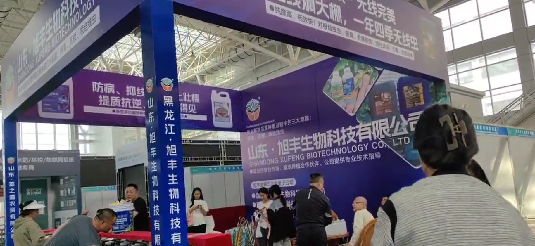 旭丰展会