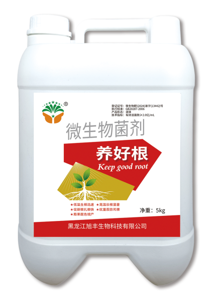养好根