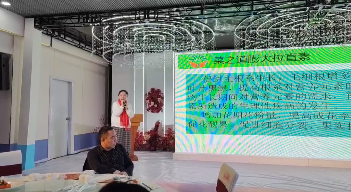 菜之道膨大拉直素